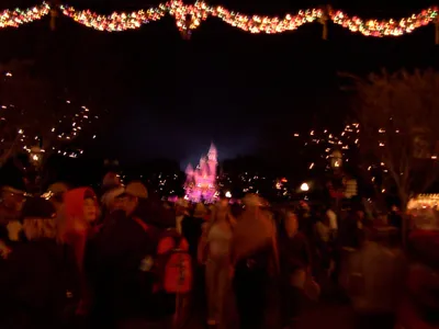 PDRM0153 (Large).JPG
